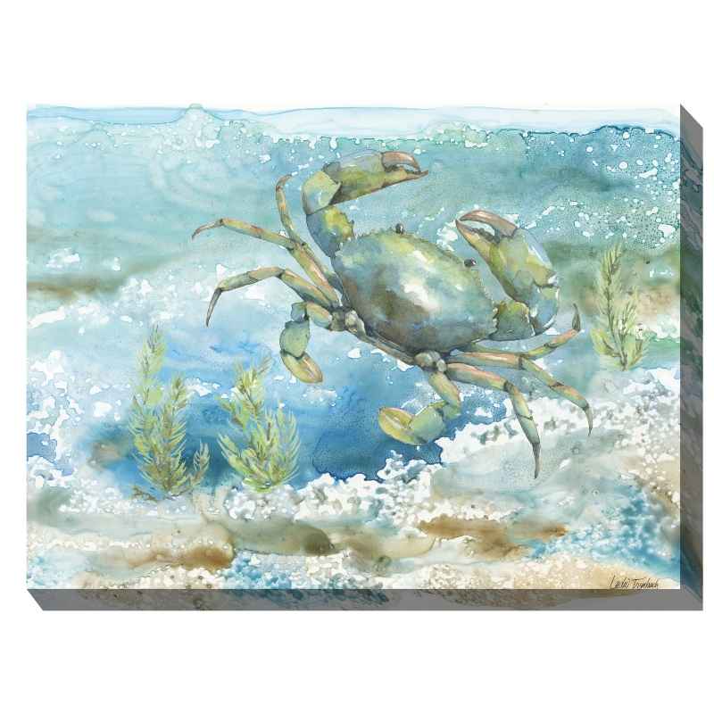 Waterproof Canvas Art - Sea Life Crab